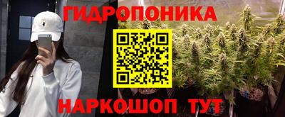 PSILOCYBIN Чапаевск