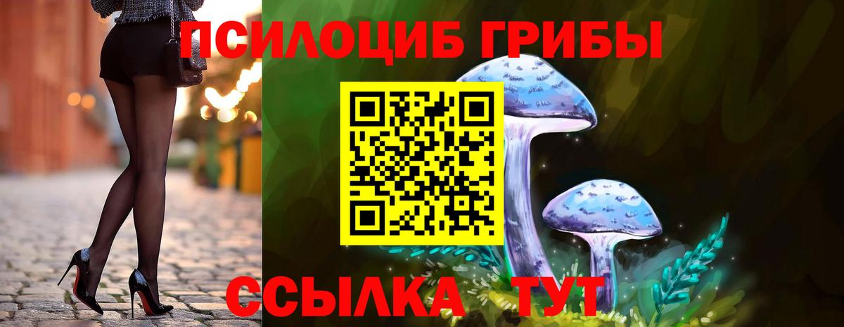 Псилоцибиновые грибы мухоморы Краснознаменск