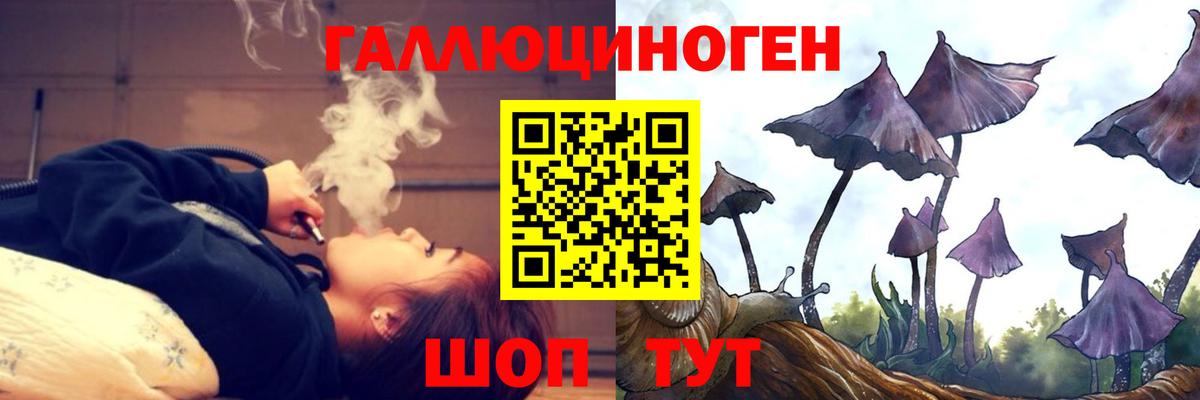 Краснознаменск  Псилоцибиновые грибы GOLDEN TEACHER  Вход с VPN 